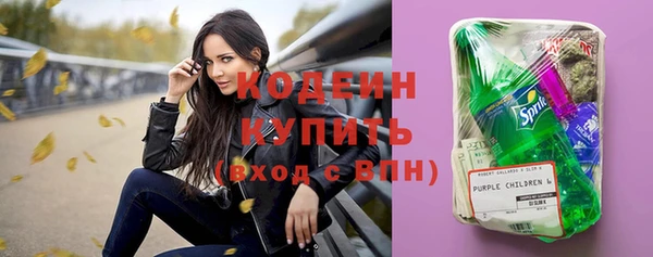 гашик Ельня