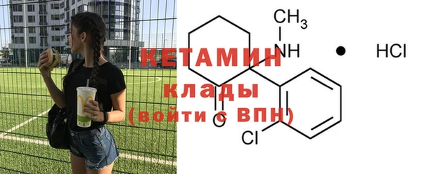 гашик Ельня