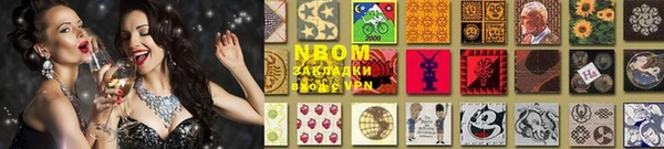 гашик Ельня