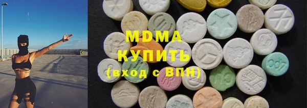 гашик Ельня