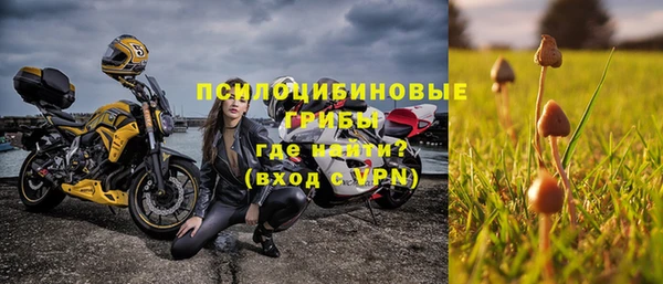 гашик Ельня