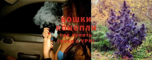 ешки Вязьма