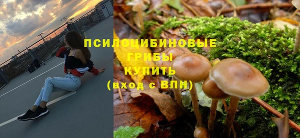 ALPHA PVP Вяземский