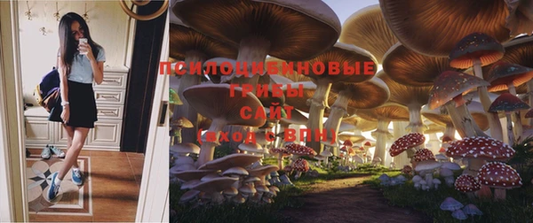 амф Вязники