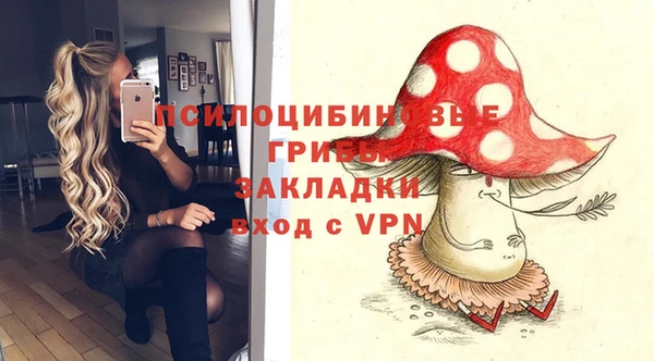 прущая мука Елабуга