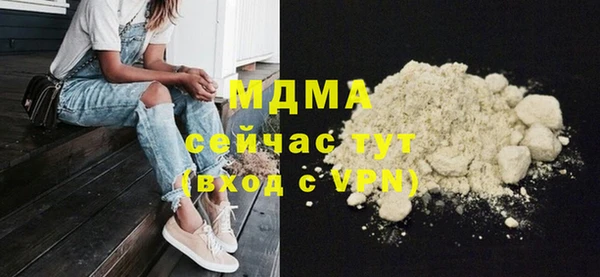 гашик Ельня