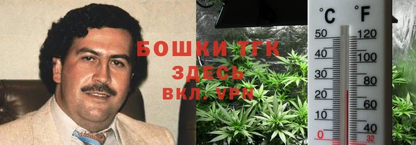 ешки Вязьма